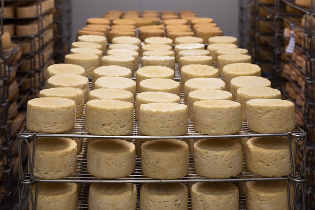 cremerie fromage allier 03 auvergne