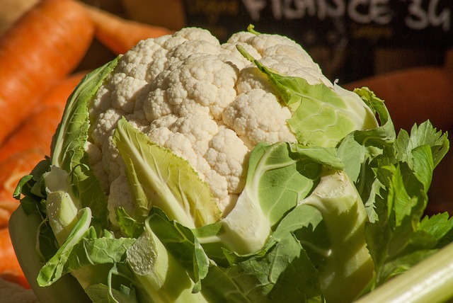 maraicher legumes producteurs locaux allier 03