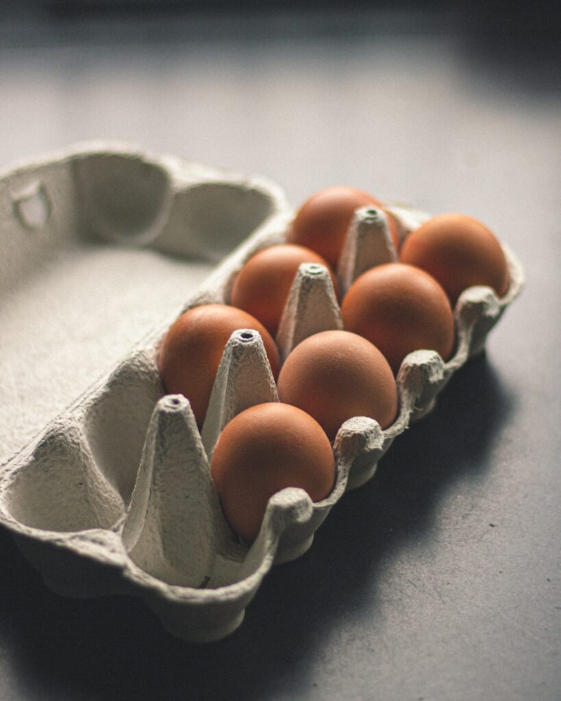 oeufs frais poules eleves en plein air 03