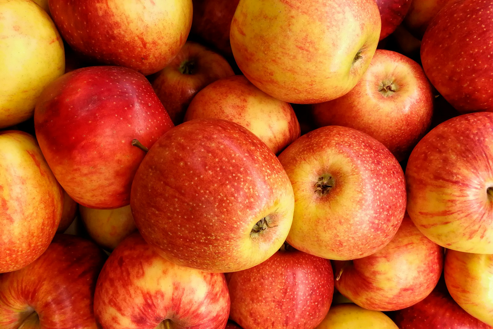 fruits locaux verger allier 03