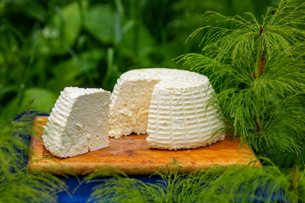 faisselle formage allier 03
