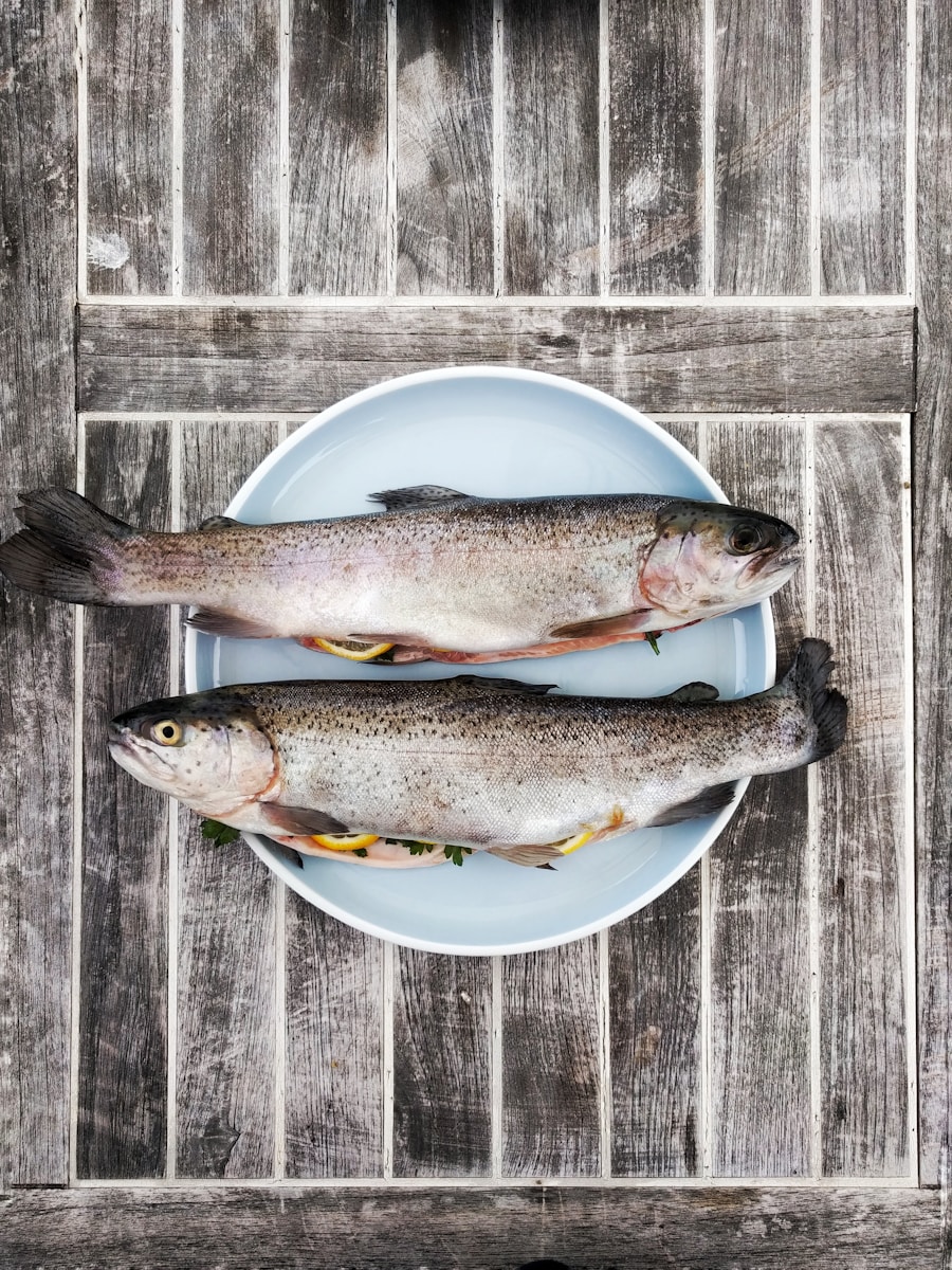 elevage de poisson allier 03